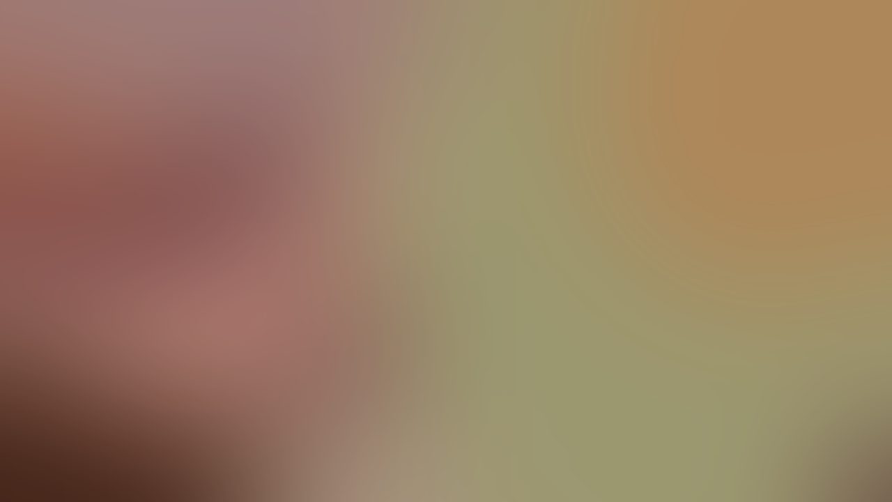 Aperçu Finisseur Telegram — vidéos du Finisseur en aperçu